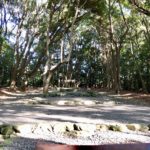 神々降臨の地。沖ノ島とならぶ神聖な場所「高宮祭場」