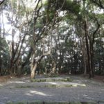 宗像大社の中にある『高宮祭場』って何？